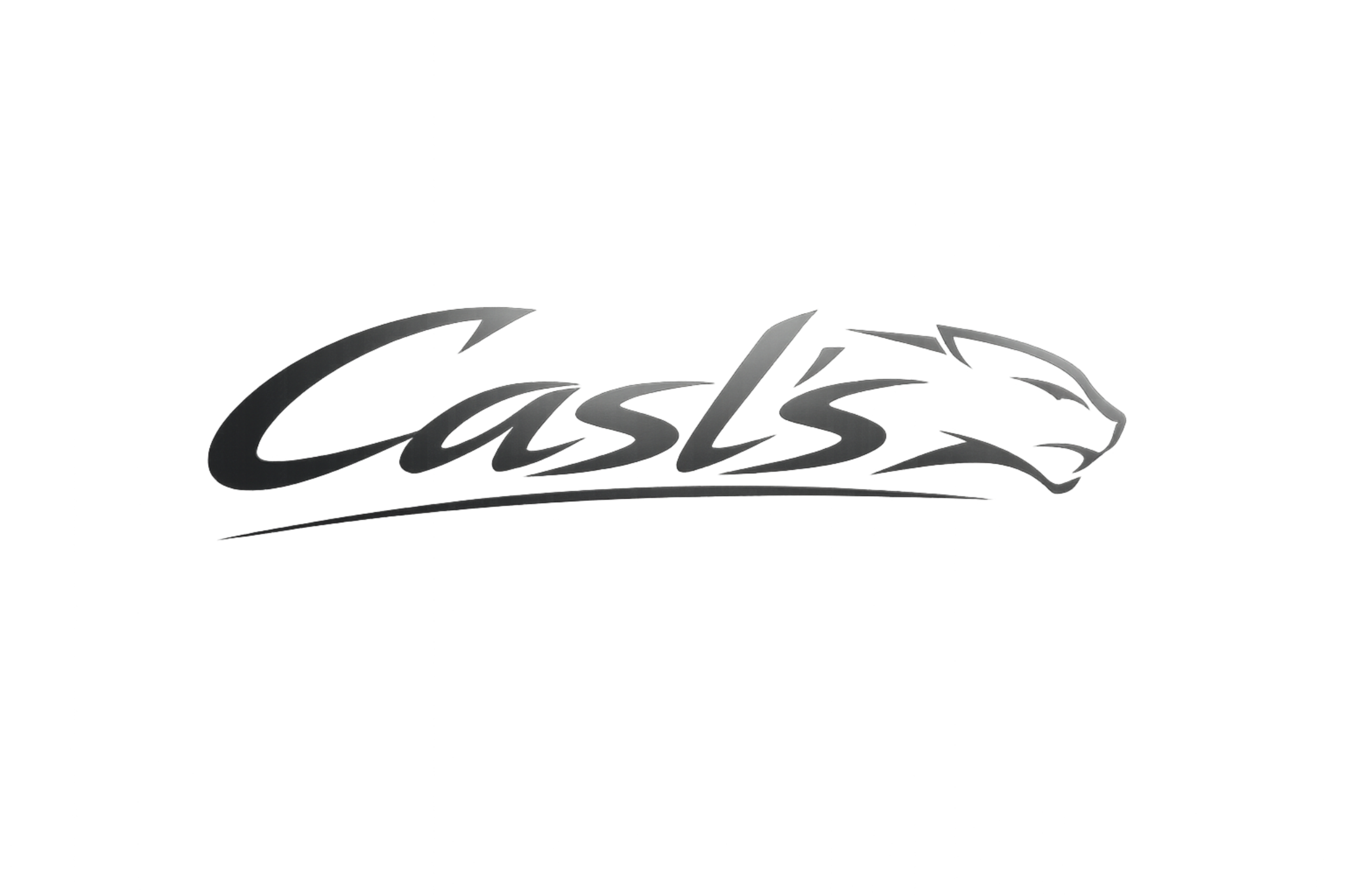 Casls logo